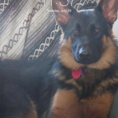 ZwaagRhonda's profile picture. 