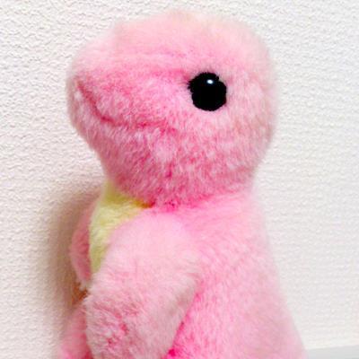 わやなさんのプロフィール画像