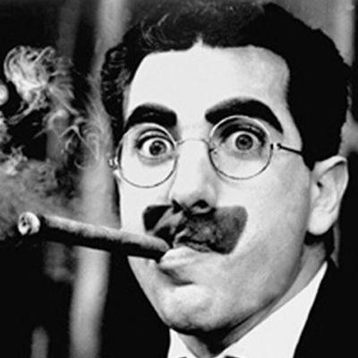 nestgenis's profile picture. català