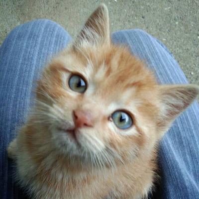 7acVDRIqUI0Y5yr's profile picture. 