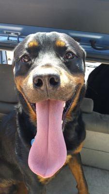 pbazz805's profile picture. still a New Yorker tho moved to California in '99. open minded but sarcastic. Cornell '86.