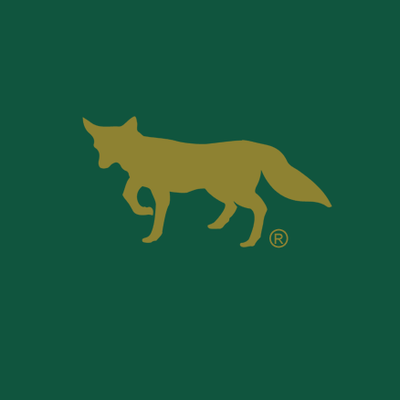 golden fox chukka boots