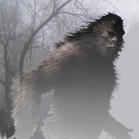 The Skeptic (@skeptic_gn) 's Twitter Profile