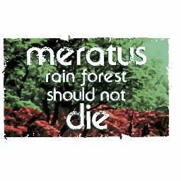 Meratus Rain Forest