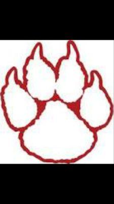 wildcats_wilson's profile picture. Official Twitter page of Wilson Magnet Athletics... Member of #SectionV and @NYSPHSAA...News, Info and Live Updates. Go Wildcats!!