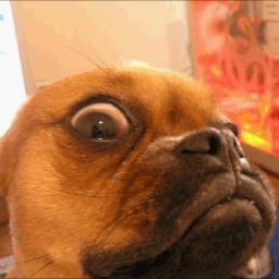 Darthbanana101's profile picture. 