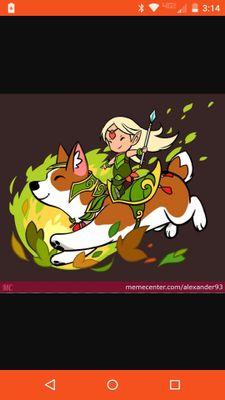 corgilover28609's profile picture. 