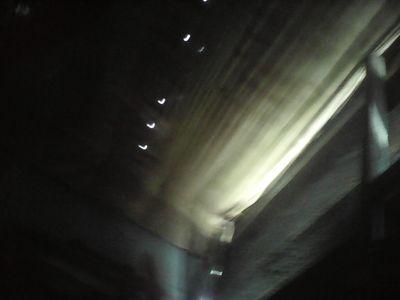 DedySap13716961's profile picture. 