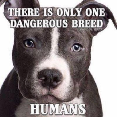 Chevyblazer316's profile picture. 