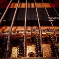 Jared Williamson (@jaredbrewsbass) 's Twitter Profile