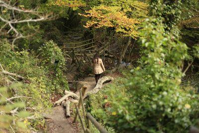 lauraguite's profile picture. Administración y Dirección de Empresas. Relaciones Laborales y Recursos Humanos. Marketing Digital