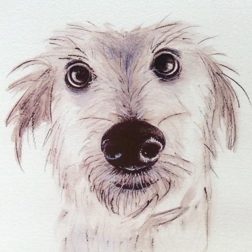 Artist, gardener and wildlife lover. Mum to lurcher Seth, and deaf American Bulldog Lilly.