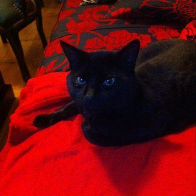 WatsonMarlena's profile picture. marlena