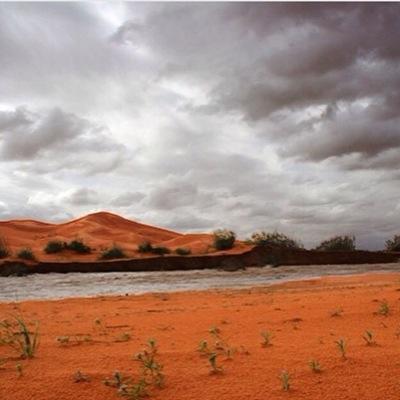 F11109's profile picture. 