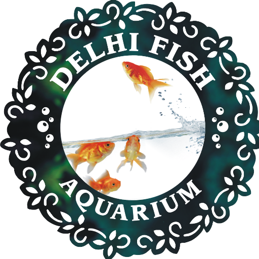 Delhi Based fish trader. Select myriad aquariums and fish tanks, aquarium products and supplies online! call +918375832338 for services