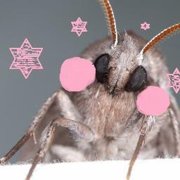 mamajosrefuge's profile picture. Ace NB (they/them) exploring the world and reading all the things.