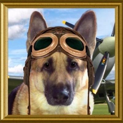 May 6th 04 -Jan 6th 14 A empty spot on the sofa & in our hearts Tweets may come from Heaven. RIP Baby Girl miss u Proud member of #TheAviators #Angels #IAmTiger