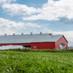 N & N Farm (@nandnfarm) Twitter profile photo N & N Farm (@nandnfarm) Twitter profile photo