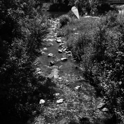 I_am_Midnight's profile picture. 