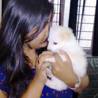 Srivastava1788 (@anshika__) 's Twitter Profile
