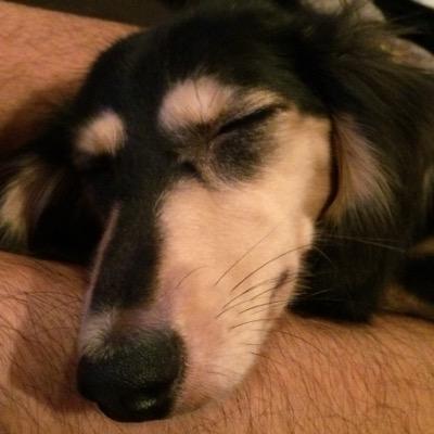 masayasuitter's profile picture. JGB、UST、DBR、FRTR、225、REIT、SPX