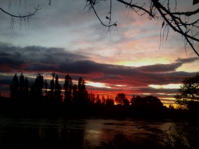 SRaglianti's profile picture. naturale?