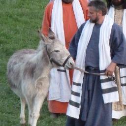 AdiFloh42's profile picture. 