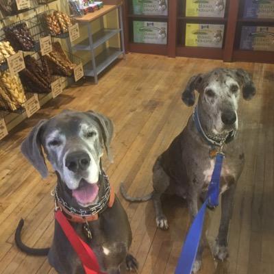 CAP10KRK's profile picture. Board Certified Family Relations Law Attorney-OHIO/MBA. Play golf and hockey, love big dogs, hate stupid people and racists. Indiana University grad x3 #LEO