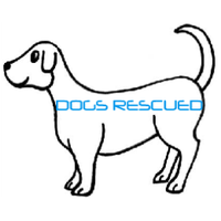 dogsrescued(@dogs_rescued) 's Twitter Profileg