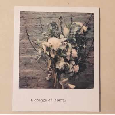 sarapisani's profile picture. Don't miss out on the journey just because you're too concerned with a final destination that you can't even be certain of ever reaching