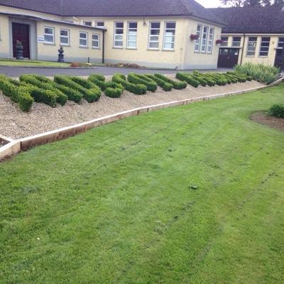 ArdscoilPhadrai's profile picture. 