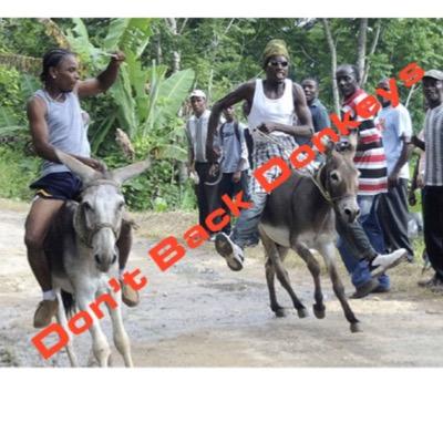 dontbackdonkeys's profile picture. Daily United Kingdom horse racing tips. Massive strike rate! Follow today! A premium service will be available soon. Please ask for more info.