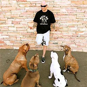 Rescuing Pit bulls raising rehabbing training people and their animals is in my blood...TK