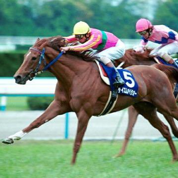 TMOPERAO7GALLOP's profile picture. 世紀末覇王の命名を持つ、顕彰馬の7冠馬テイエムオペラオーが大好きなレイヴンです‼️( ´ ▽ ` )ﾉ 競馬好きな方、フォロー宜しくお願いします。(^O^)／ 東京競馬場のある府中育ち 好きなゲーム スターホースプログレスリターンズ ダビスタ ギャロップレーサー など。