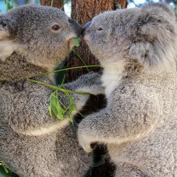 Sunprincess8's profile picture. 