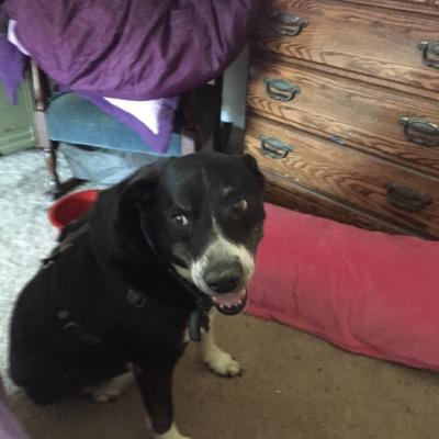 IMartimyers's profile picture. 