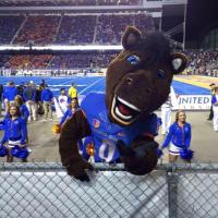 Buster Bronco (@busterbronco_) 's Twitter Profile