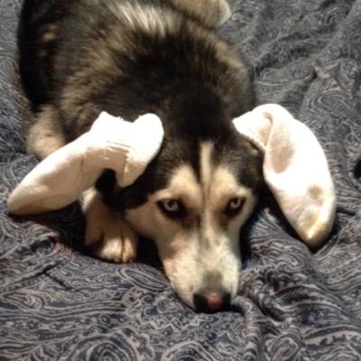 dmcclure88's profile picture. Eclectic taste in a wide variety of areas.