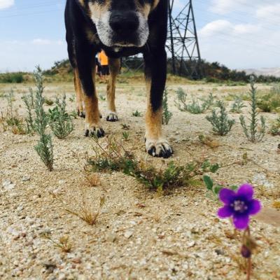 asianbackwards's profile picture. 