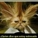 Roberth j c (@05d39e81abe848b) Twitter