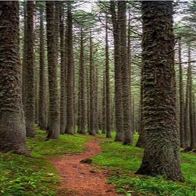 - لايوجد شي اجمل من رؤية وجه شخص كان يريد اصلاح شي فأعدمه~o)