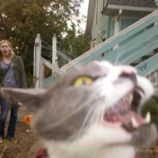 sekaisinseido's profile picture. 書籍、ｃｄ、コレクターズＤＶＤなどをメインに扱っています。KISS ARMY。綺麗な商品を適切な価格でお客様にご提供させていただきます。  緑豊かな多摩から丁寧な梱包にて迅速にお届けします。古物許可証：東京都公安委員会305551103341 脱原発、日米安保法制大反対！世界平和を！