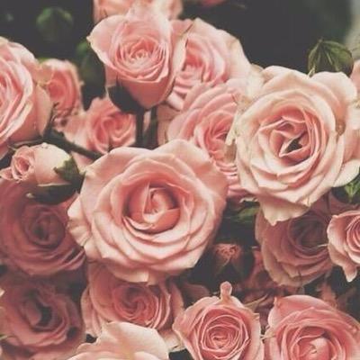 edna_galvez's profile picture. 