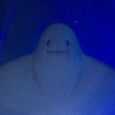 luisceol's profile picture. 