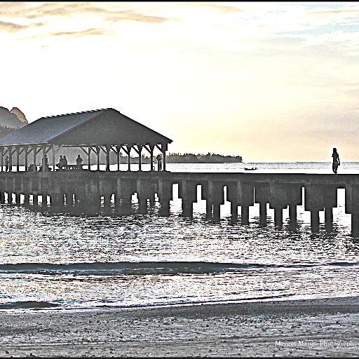 MargotCMartin's profile picture. amateur photographer, artist, foodie, animal lover, traveler