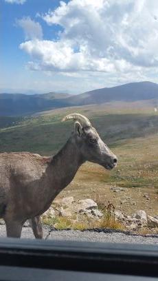 AquaOrganics's profile picture. Advocator of uniqueness. Love is the answer.