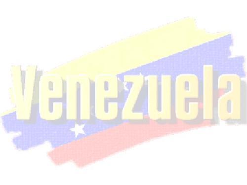 stefaninoto's profile picture. 