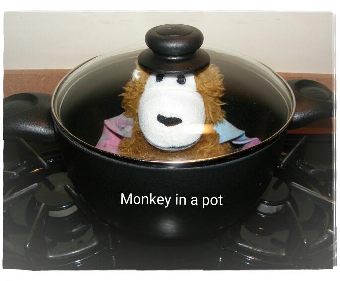 I'M A MONKEY...IN A POT! AND AN ADVOCATE FOR ALL ANIMALS (Real or Stuffed)! FOLLOW ME!