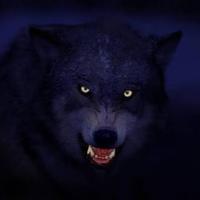 Proto Tue'kue (@anou_turuk) Twitter profile photo