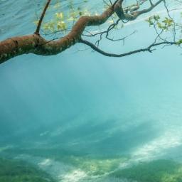 JtweetGo's profile picture. 